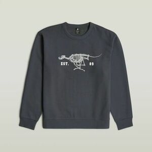 Pulóverek G-Star Raw RUNNING DOG BACK GR R S kép