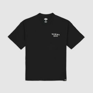 Rövid ujjú pólók Dickies SNEEDVILLE TE kép