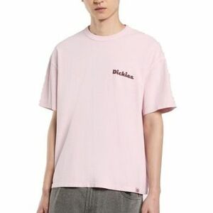 Rövid ujjú pólók Dickies SLAYDEN GD TEE kép