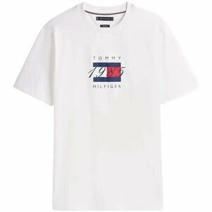 Rövid ujjú pólók Tommy Hilfiger LINEAR FLAG GRAPHIC TEE kép