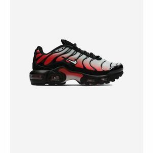Rövid szárú edzőcipők Nike GS Air Max Plus Pure Platinum University Red kép