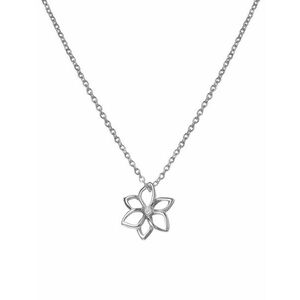 Hot Diamonds Hot Diamonds Gyönyörű ezüst nyaklánc gyémánttal Virág Diamond Amulets DP894 kép