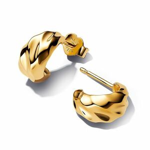 Pandora Pandora Aranyozott fülbevaló Essence Shine 263873C00 kép