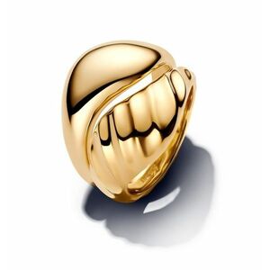 Pandora Pandora Aranyozott gyűrű szett Shine Essence 163832C00 52 mm kép