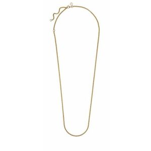 Pandora Pandora Női aranyozott lánc Rolo Shine 369260C00-60 kép