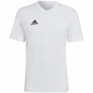 Rövid ujjú pólók adidas adidas Ent22 Tee kép
