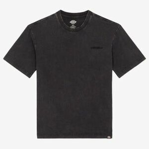 Rövid ujjú pólók Dickies PLENTYWOOD kép