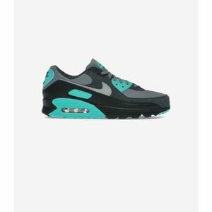 Rövid szárú edzőcipők Nike Air Max 90 Cool Grey Dusty Cactus Black Wolf Grey kép