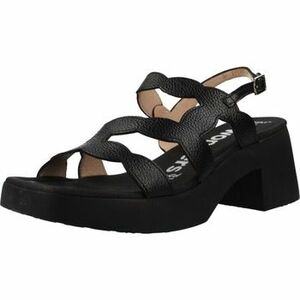 Szandálok / Saruk Wonders D1020 kép