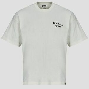Rövid ujjú pólók Dickies SNEEDVILLE TEE SS EGRET kép