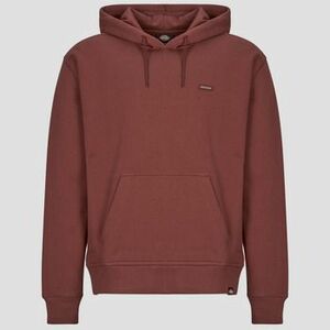 Pulóverek Dickies CLANCY BB HOODIE ANDORRA kép
