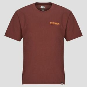 Rövid ujjú pólók Dickies BURNS TEE SS ANDORRA kép