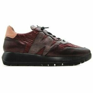 Rövid szárú edzőcipők Wonders SNEAKERS 2491 kép