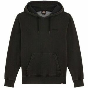 Pulóverek Dickies Plentywood Hoodie kép