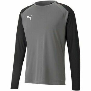 Pólók / Galléros Pólók Puma Teampacer Gk Ls Jersey kép