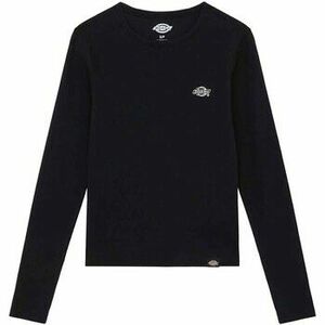 Hosszú ujjú pólók Dickies Gladeville Tee Ls W kép