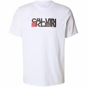 Rövid ujjú pólók Calvin Klein Jeans SS 30s EU CK REDBOX GRAP kép