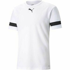 Pólók / Galléros Pólók Puma Teamrise Jersey kép