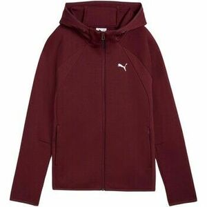 Pulóverek Puma Evostripe Full-Zip Hoodie Dk kép