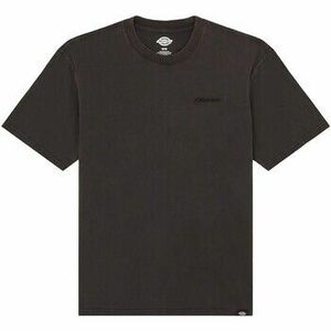 Rövid ujjú pólók Dickies Plentywood Ss Tee kép