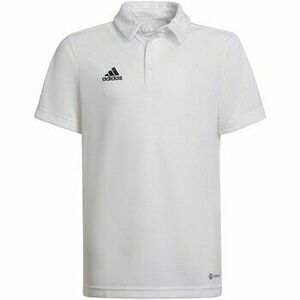Pólók / Galléros Pólók adidas Ent22 Y kép
