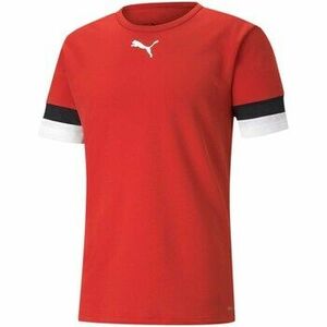 Pólók / Galléros Pólók Puma Teamrise Jersey kép