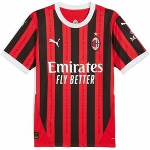 Pólók / Galléros Pólók Puma Acm Home Jersey Replica kép