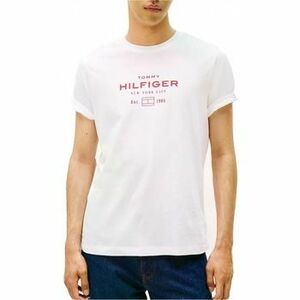 Pólók / Galléros Pólók Tommy Hilfiger HILFIGER STACK GRAPHIC T kép