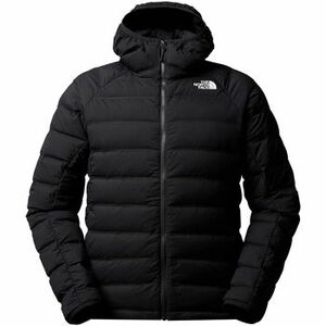 Steppelt kabátok The North Face M Abseil Down Hoodie kép