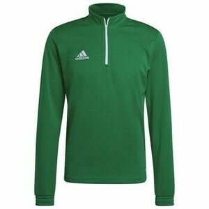Pulóverek adidas Entrada 22 Training kép