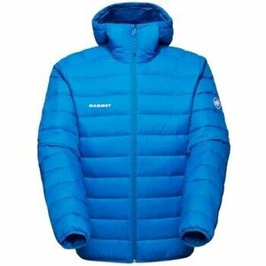 Steppelt kabátok Mammut 10130341050589 kép