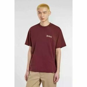 Rövid ujjú pólók Dickies DINER kép