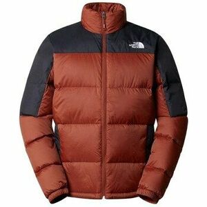 Steppelt kabátok The North Face Diablo Down kép