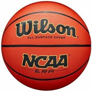 Sport kiegészítők Wilson WZ3017201XB kép