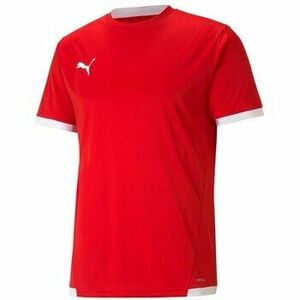 Rövid ujjú pólók Puma Teamliga Jersey kép