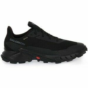 Futócipők Salomon Alphacross 5 Gtx kép