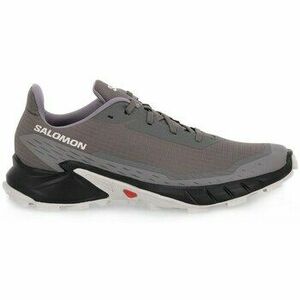 Futócipők Salomon Alphacross 5 Gtx kép