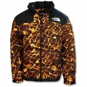 Steppelt kabátok The North Face NF0A3Y23OS3 kép