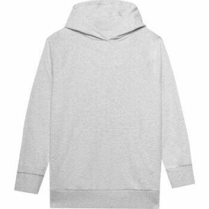 Pulóverek 4F B23457 kép
