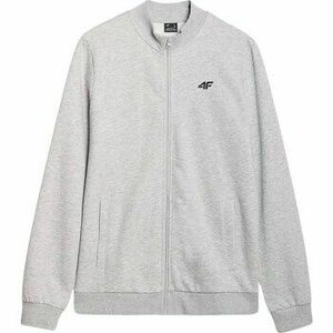 Pulóverek 4F B24531 kép