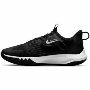 Kosárlabda Nike Precision Flyease V kép