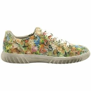 Oxford cipők Westland Chaussures kép