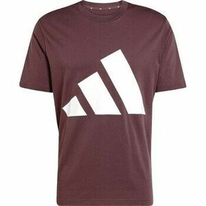 Rövid ujjú pólók adidas JE8939 kép