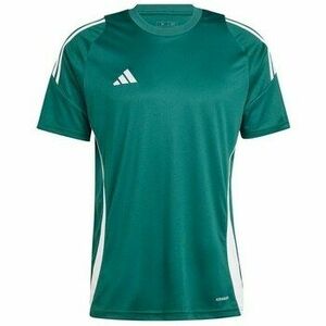 Rövid ujjú pólók adidas Tiro 24 Jersey kép
