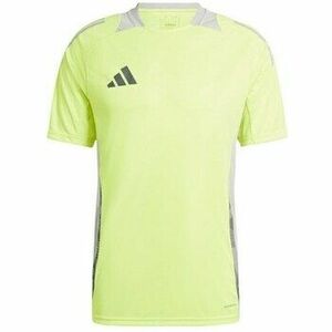 Rövid ujjú pólók adidas Tiro 24 Competition Training kép