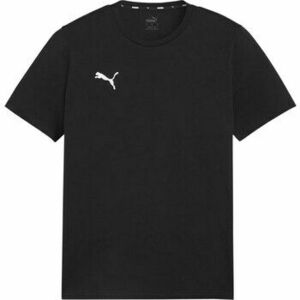 Rövid ujjú pólók Puma Team Goal Casuals kép