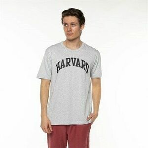 Rövid ujjú pólók Champion Harvard kép