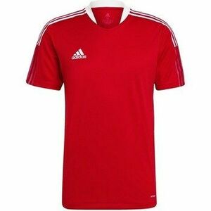 Rövid ujjú pólók adidas Tiro 21 kép
