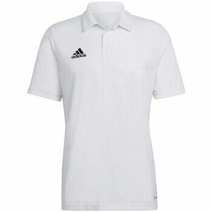 Rövid ujjú pólók adidas Entrada 22 kép
