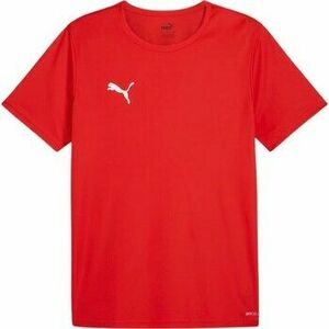 Rövid ujjú pólók Puma Teamrise Matchday Jersey kép